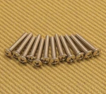 002-2244-049 Fender Amp/ Amplifier Handle Screws New. Price: $15.00.