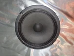 Peavey Inch Speaker From Minx 110 Amp-excellent! Used. Price: $19.00.