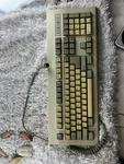 Chicony Electronics Keyboard Model KB-5311. Price: $44.99.