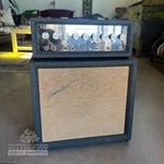 1965 Danelectro DM25 Guitar Amplifier - Head / Cabinet Used. Price: $949.00.