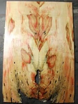Curly Red Flame Box Elder Maple Drop Top .29" Thk Bass Guitar Tonewood 2681. Price: $69.99.