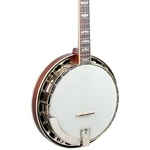 Recording King The Elite Traditional Banjo 197881433864 Rf Good. Price: $1759.20.