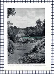 (6214) Ashdown Forest Row Sussex - 1955 Cutting Used. Price: $9.35.