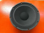 Peavey Ecoustic E110 Acoustic Guitar Amp Replacement Speaker (free Shipping!!!) Used. Price: $39.99.