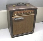 Vintage Acoustic G20-110 Combo Guitar Amplifier Used. Price: $299.99.