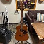 Greg Bennett D-8 Acoustic Guitar Samick Solid Cedar Used. Price: $417.00.