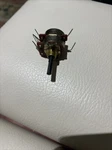 Potentiometer 71190558 For Peavey KB300 New. Price: $60.00.