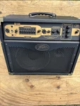 Peavy E110 Electric Guitar Amplifier Used. Price: $250.00.