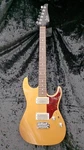 Suhr Pete Thorn Signature Standard Electric Guitar Used. Price: $4760.77.