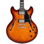 D'angelico Premier Dc Semihollow Guitar Dark Iced Tea Burst 197881473877 Rf Good. Price: $799.99.