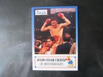 Julio Cesar Chavez *1992 Kayo Boxing Rare Prototype Card , Nm/mt Ungraded. Price: $30.00.