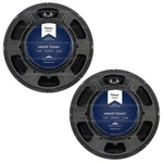 Eminence Patriot Series Swamp Thang 12" Lead Rhythm Speakers Pair 150W 8 Ohm New. Price: $256.48.