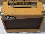 Esteban ES-15A Acoustic Electric Guitar Amp Gold Used. Price: $49.99.
