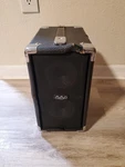 Phil Jones Aad Cub AG-100 Acoustic Guitar Amp 100W Used. Price: $419.97.