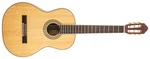 Peavey Delta Woods CNS-2 Classical Nylon String Guitar New. Price: $279.99.