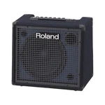 Roland KC-200 Mixing Keyboard Amplifier 100W AC100 New. Price: $549.00.