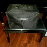 Mesa/boogie 1X10 Bronco Rectifer Cabinet Used. Price: $445.99.
