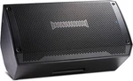 2000W FRFR108 Mkii Electric & Bass Guitar Amp With Bluetooth Speaker New. Price: $498.99.